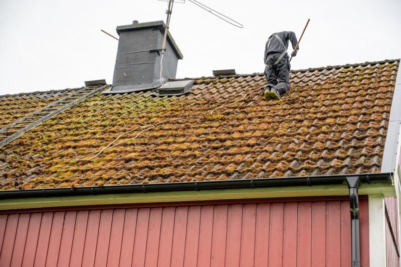 Roof Surface Cleaning